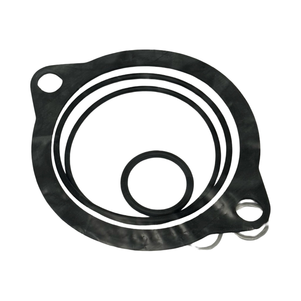 FG Dichtsatz PI 50004-10 NBR 77999709 Dichtungssatz Filtergehäuse