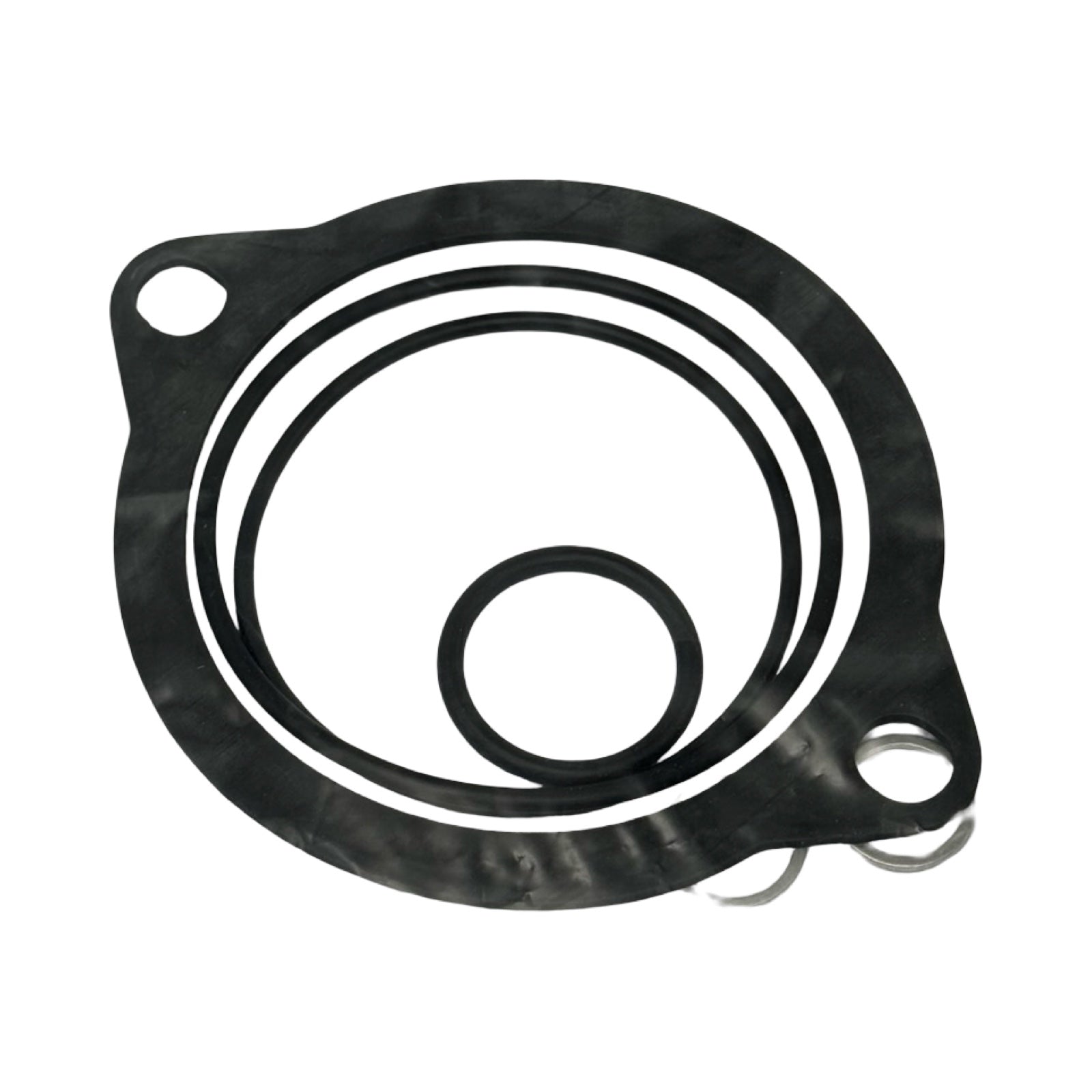 FG Dichtsatz PI 50004-10 NBR 77999709 Dichtungssatz Filtergehäuse