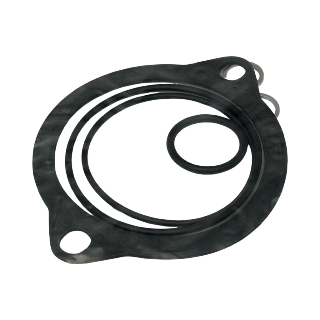 FG Dichtsatz PI 50004-10 NBR 77999709 Dichtungssatz Filtergehäuse