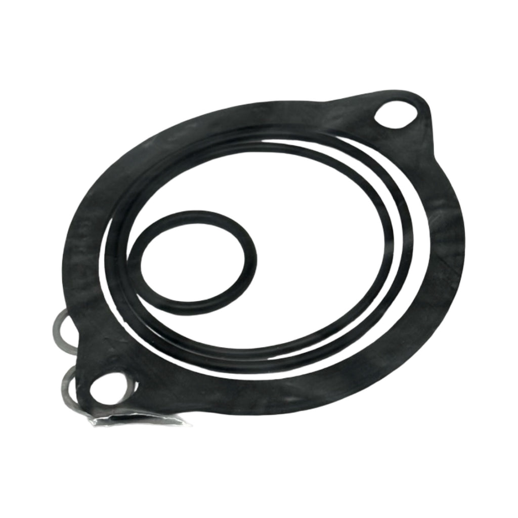 FG Dichtsatz PI 50004-10 NBR 77999709 Dichtungssatz Filtergehäuse