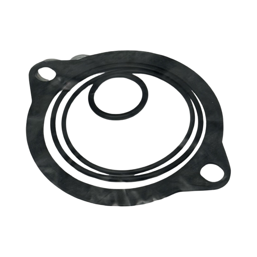 FG Dichtsatz PI 50004-10 NBR 77999709 Dichtungssatz Filtergehäuse