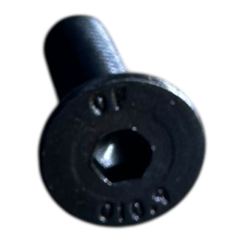 500x Riegler 10642.100.0050.020 Senkschrauben mit Innensechskant M5x20