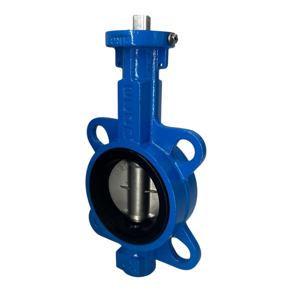 Econ 6380 DN65 Zwischenflansch Absperrklappe PN16 ANSI150 Edelstahl EPDM
