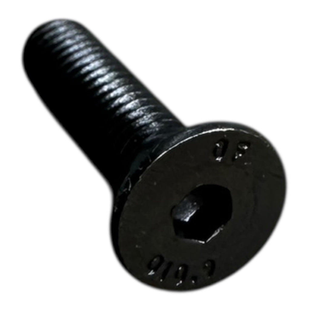 500x Riegler 10642.100.0050.020 Senkschrauben mit Innensechskant M5x20