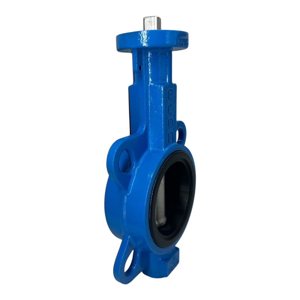 Econ 6380 DN65 Zwischenflansch Absperrklappe PN16 ANSI150 Edelstahl EPDM