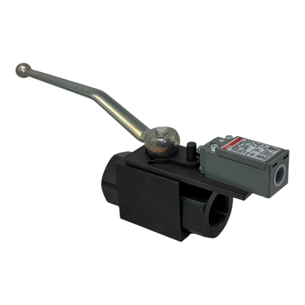 Rötelmann ST/PT-F DN25 PN250 Kugelhahn 1” BSP mit ABB LS32P13B11 Endschalter