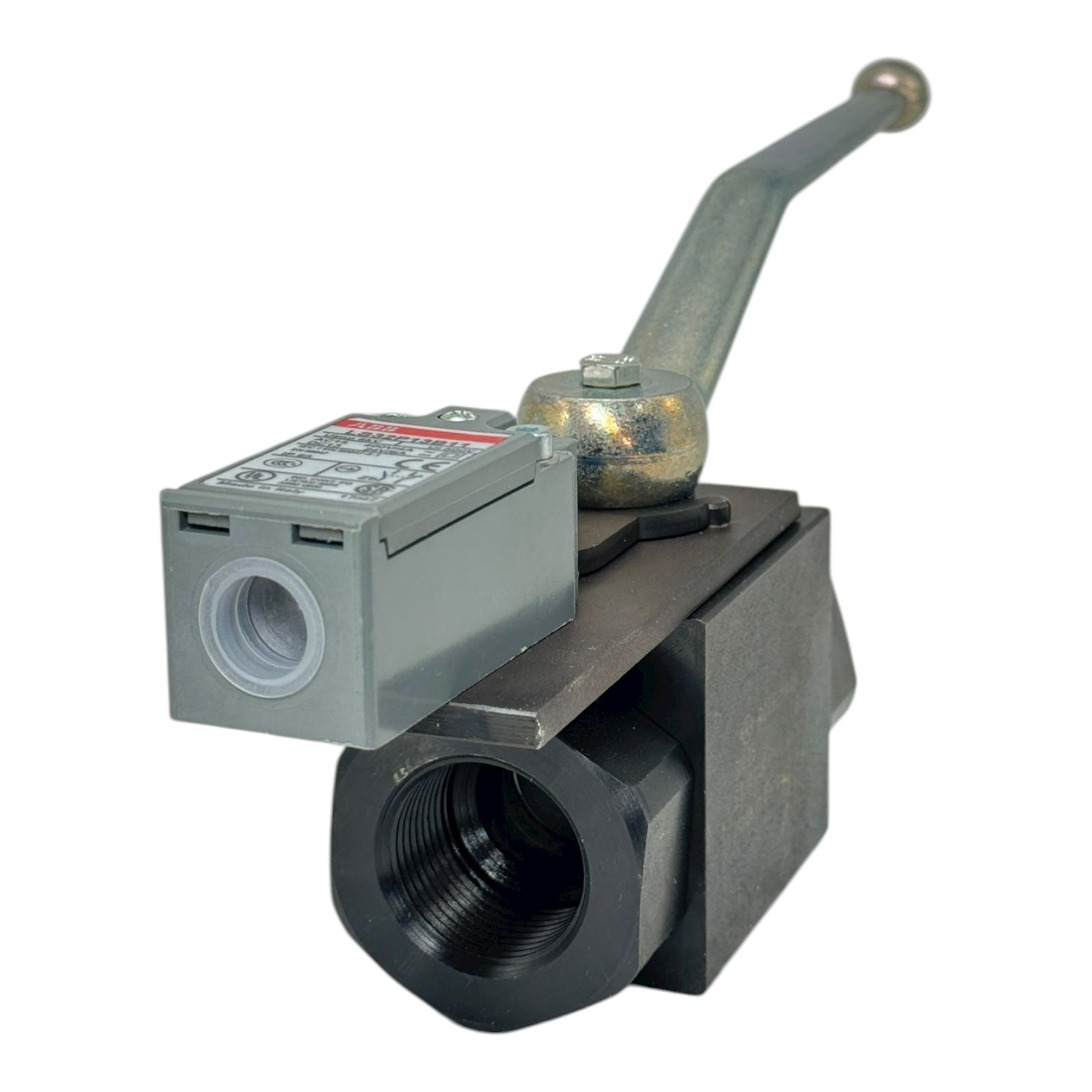 Rötelmann ST/PT-F DN25 PN250 Kugelhahn 1” BSP mit ABB LS32P13B11 Endschalter