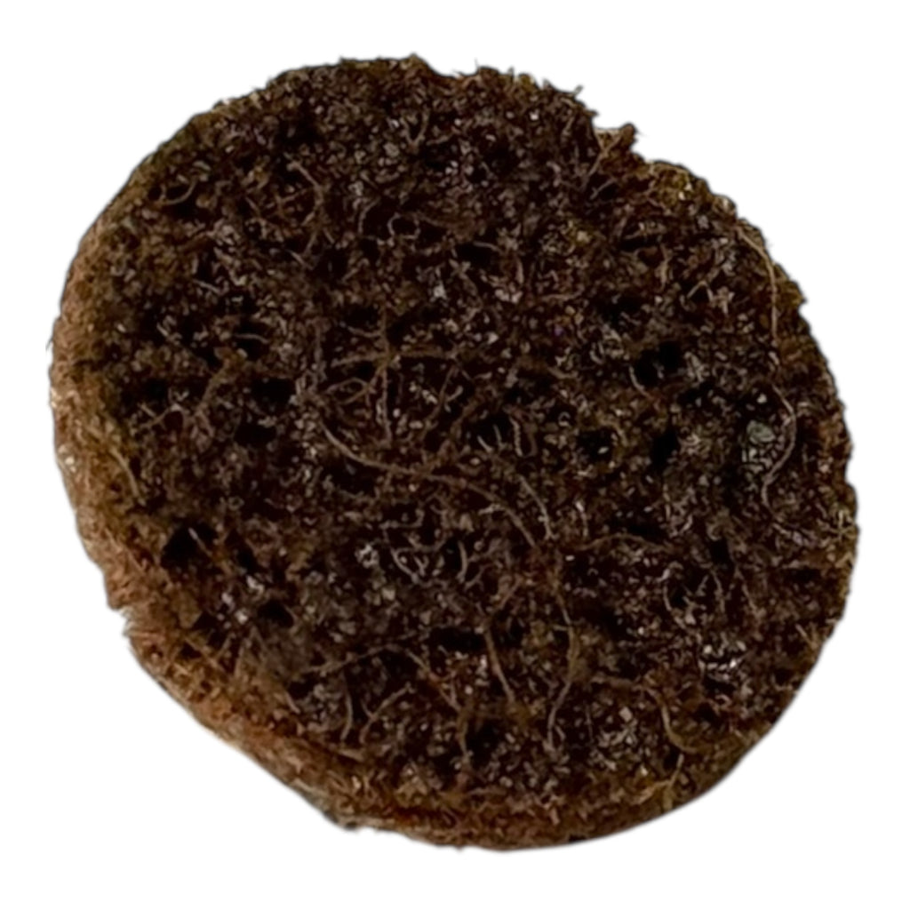 50x 3M Scotch-Brite Roloc 15393 Vliesscheiben 25,4mm A/O Coarse Schleifscheiben
